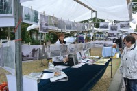 /album/fotogallerij/paardenmarkt-2014-012-medium-jpg/